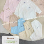 UD3 Bộ Dài Tay sơ sinh Unchi chất liệu pettit bambo cho bé 3-9kg - Ảnh 4